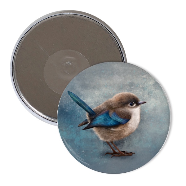 Modropláštík nádherný